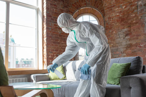 Best Commercial Mold Inspection in Lewiston, ME